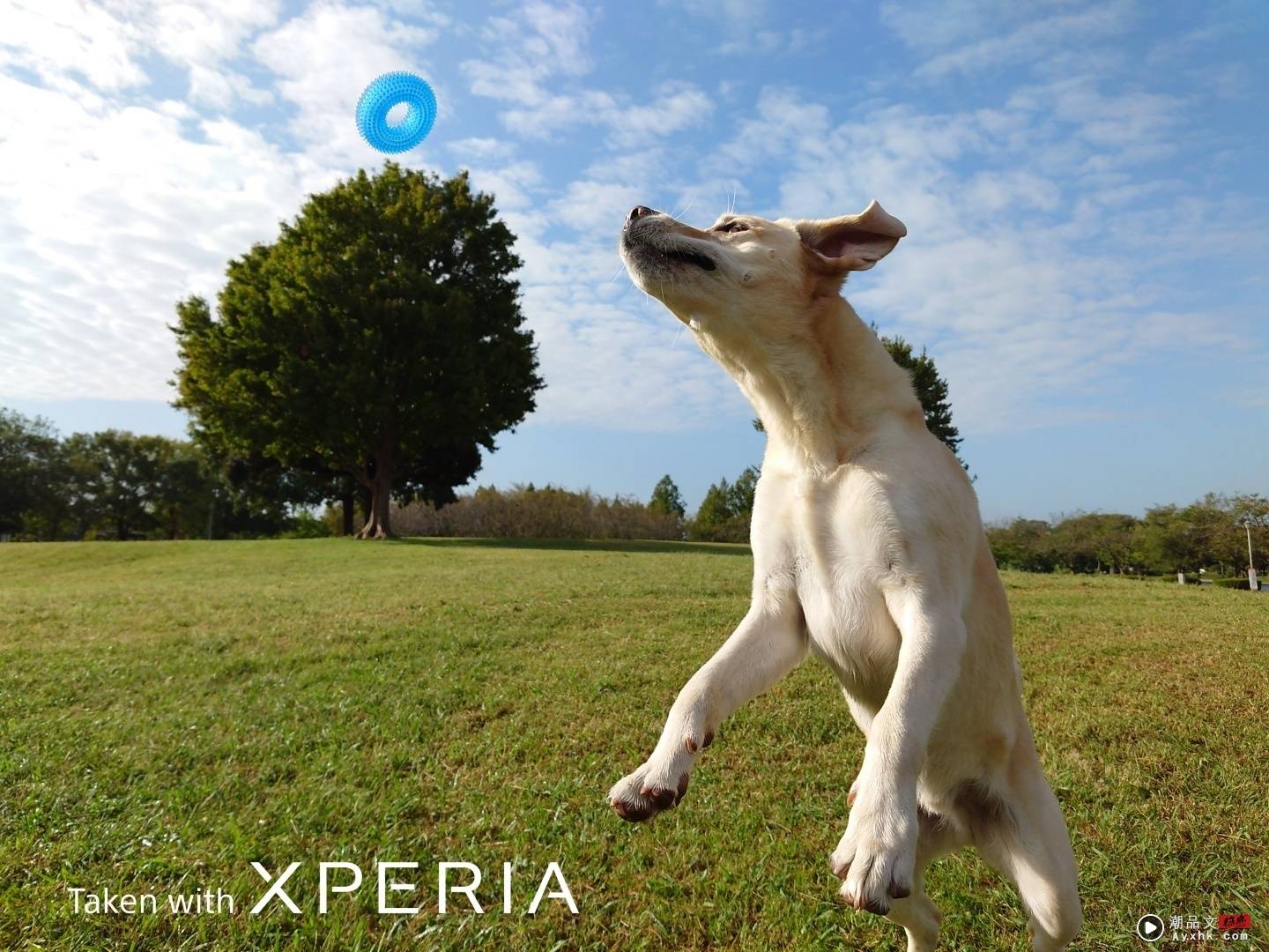 Sony 发表微单手机‘ Xperia PRO-I ’预计年底正式推出！同场加映：Xperia 1 III 推出新色‘ 消光绿 ’ 数码科技 图3张